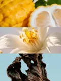 yodeyma-dorian-woda-perfumowana-50-ml-marka-yodeyma