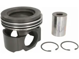 tlok-mahle-061-pi-00110-000