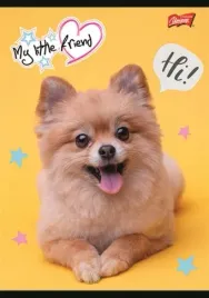 zeszyt-a5-32k-linia-podwojna-dwukolorowa-my-little-friend-unipap-majewski