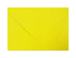 koperty-zolte-intensywne-v2-c6-120-g-m2-10-szt