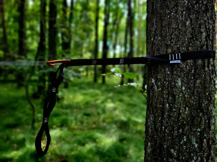 tasmy-halare-tree-huggers-chain