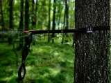 tasmy-halare-tree-huggers-chain