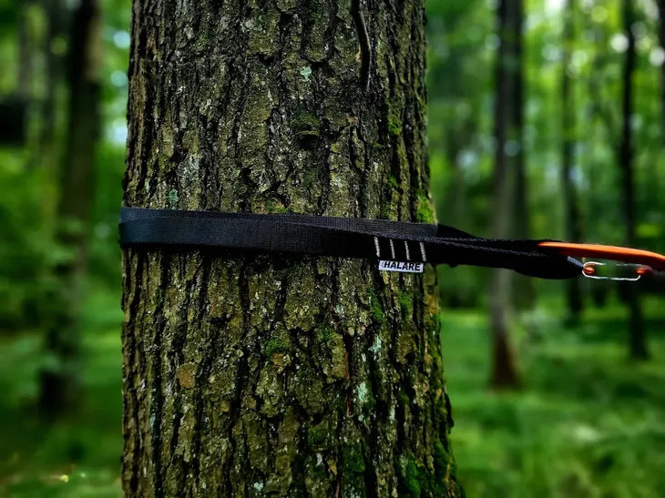 tasmy-halare-tree-huggers