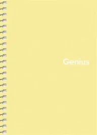 kolozeszyt-a6-kratka-80k-genius-mini