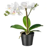 ikea-fejka-storczyk-28cm-stan-nowy