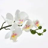 ikea-fejka-storczyk-28cm-kod-producenta-002-859-08