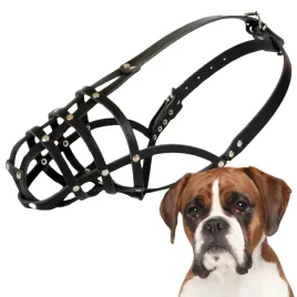 kaganiec-dla-psa-dingo-skorzany-nitowany-nr-15-obwod-26cm-bokser-maly