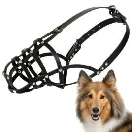 kaganiec-dla-psa-dingo-skorzany-nitowany-nr-13-obwod-27cm-collie