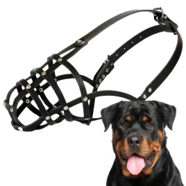 kaganiec-dla-psa-dingo-skorzany-nitowany-nr-8-obwod-32cm-rottweiler-maly