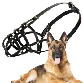 kaganiec-dla-psa-dingo-skorzany-nitowany-nr-7-obwod-36cm-owczarek-niem