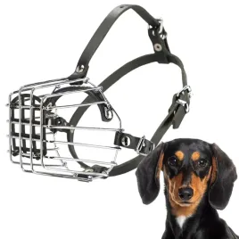 kaganiec-dla-psa-metalowy-nr-1-obwod-kufy-21cm-jamnik-maly-dingo