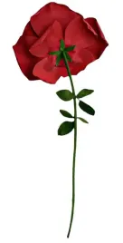 wieczna-roza-xxl-160-cm-prezent-na-dzien-matki-kobiet-dla-mamy-tesciowej