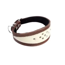 obroza-ze-skory-dla-psa-charta-whippeta-ozdobna-dingo-soft-xxl-49cm