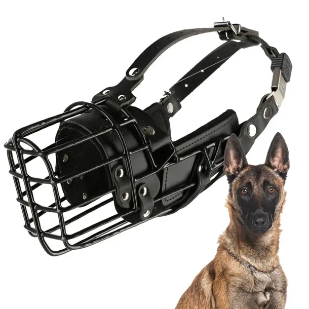KAGANIEC DLA PSA FIZJOLOGICZNY K9 DINGO GEAR MALINOIS PIES obwód 29cm