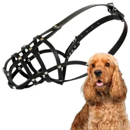 kaganiec-dla-psa-dingo-skorzany-nitowany-nr-4-obwod-kufy-27cm-spaniel