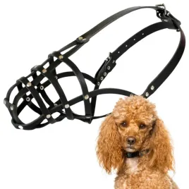 kaganiec-dla-psa-dingo-skorzany-nitowany-nr-1-obwod-kufy-19cm-pudel