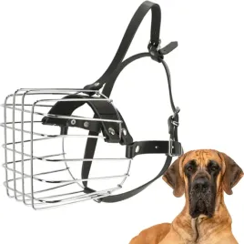 kaganiec-dla-psa-metalowy-nr-10-obwod-kufy-44cm-dog-dingo