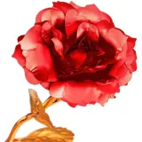 czerwona-roza-marka-bez-marki