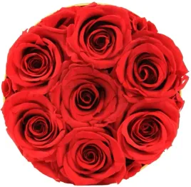 flower-box-z-7-prawdziwych-roz