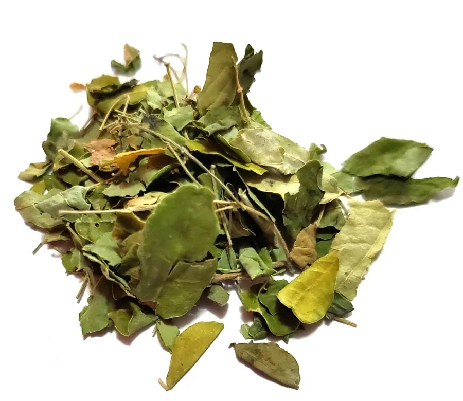 moringa-oleifera-lisc-500g