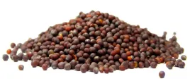 gorczyca-czarna-ziarno-1kg
