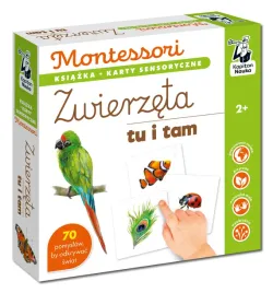 zwierzeta-tu-i-tam-kapitan-nauka-montessori-karty-sensoryczne