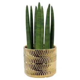 zlota-ceramiczna-oslonka-doniczka-na-kwiatki-fi15-glamur-blyszczaca