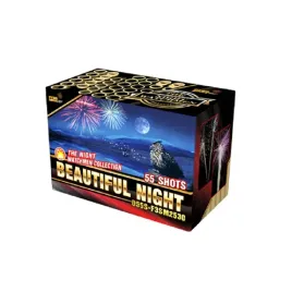 beautiful-night-d55s-f3sm2530