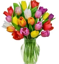 sztuczne-kwiaty-jak-zywy-tulipan-61-cm-sliczne-mix