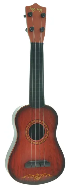 duza-gitara-akustyczna-strunowa-rodzaj-gitara