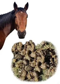 obornik-konski-100percent-ekologiczny-nawoz-naturalny-20-l-kompostowany