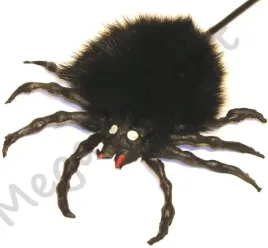 duzy-pajak-tarantula-skacze-futro