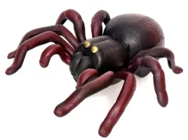 duzy-pajak-tarantula-czarnawdowa-sterowany-skacze