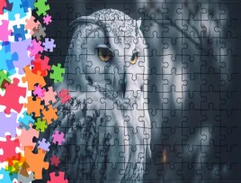 puzzle-tradycyjne-zwierzeta-sowa-producent