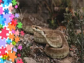 puzzle-tradycyjne-zwierzeta-waz-producent