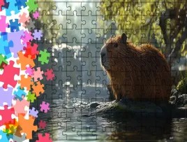 puzzle-tradycyjne-zwierzeta-nutria-producent