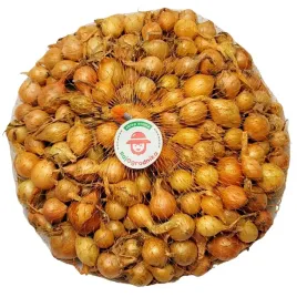 cebula-dymka-stuttgarter-riesen-400g-do-sadzenia-wiosenna