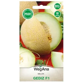 melon-gediz-f1-bardzo-slodka-soczysta-i-smaczna-odmiana-nasiona-wegana