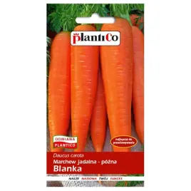 marchew-jadalna-pozna-blanka-nasiona-5g-plantico