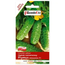 ogorek-konserwowy-prymus-mieszaniec-f1-6g-nasiona-obfity-plon-plantico