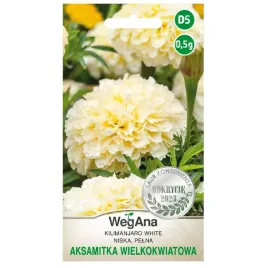 aksamitka-niska-wielkokwiatowa-kilimanjaro-white-nasiona-05g-wegana