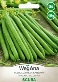 fasola-szparagowa-karlowa-scuba-nasiona-40g-zielona-wegana
