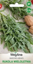 rukola-diplotaxis-wieloletnia-bylina-rucola-orzechowy-smak-nasiona-wegana