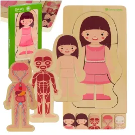 puzzle-drewniane-warstwowe-budowa-ciala-montessori-dziewczynka
