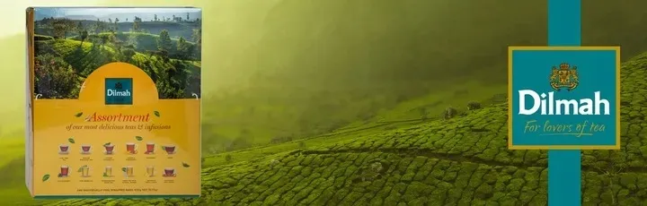 herbata-dilmah-pick-and-mix-tea-240-torebek-kod-producenta-9312631144000