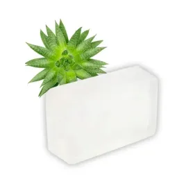baza-mydlana-aloes-glicerynowa-do-wykonywania-mydelek-bez-sls-i-rosy-1kg