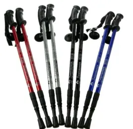 kijki-nordic-walking-trekkingowe-kije-komplet-2szt