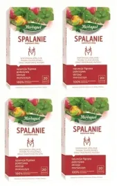 4x-20x-2g-herbapol-herbata-funkcjonalna-spalanie-suplement-diety-80tb