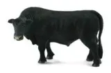 byk-czarny-angus-collecta