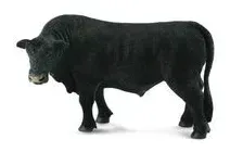 byk-czarny-angus-collecta
